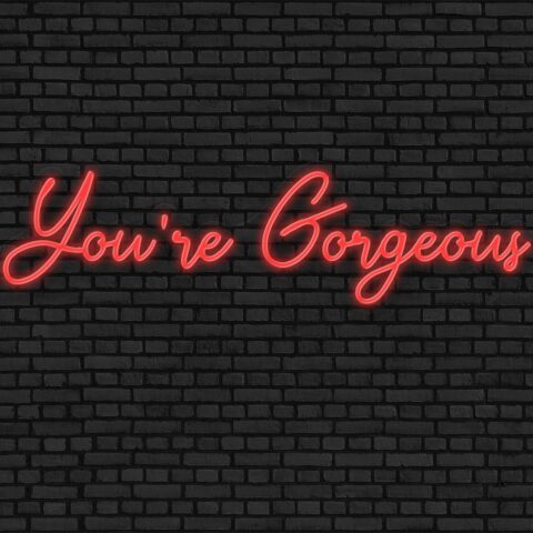 You're Gorgeous Neon Sign