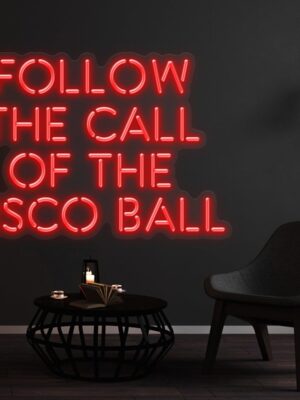 262-FollowtheCalloftheDiscoBallC.jpg
