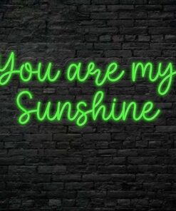 Alternative view of You  are my sunshine Neon Sign