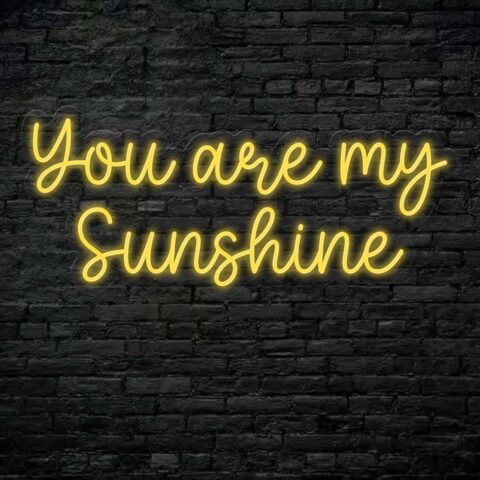You  are my sunshine Neon Sign