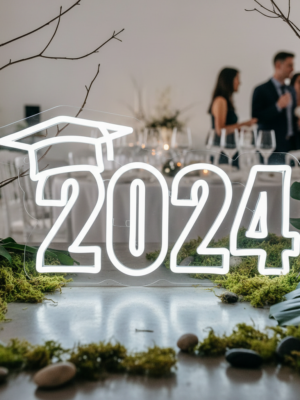 2024HatLEDNeonSignGradPromPartyDecorSignneonchics