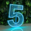 0 to 9 Number LED Neon Sign Wall Letters Light Party Decoration