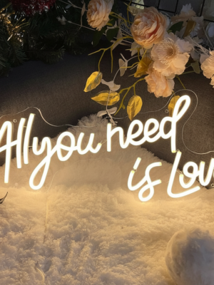 All You Need Is Love Neon Sign