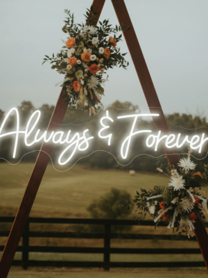 Always & Forever Led Neon Sign Wedding Party Decor